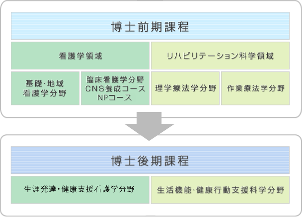 保健学専攻の構成