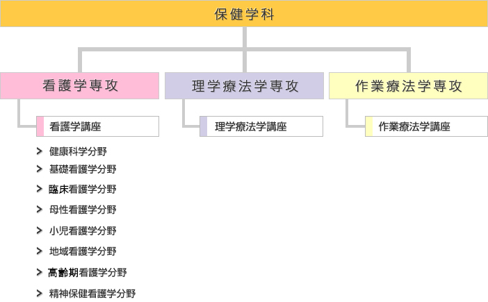 保健学科の構成