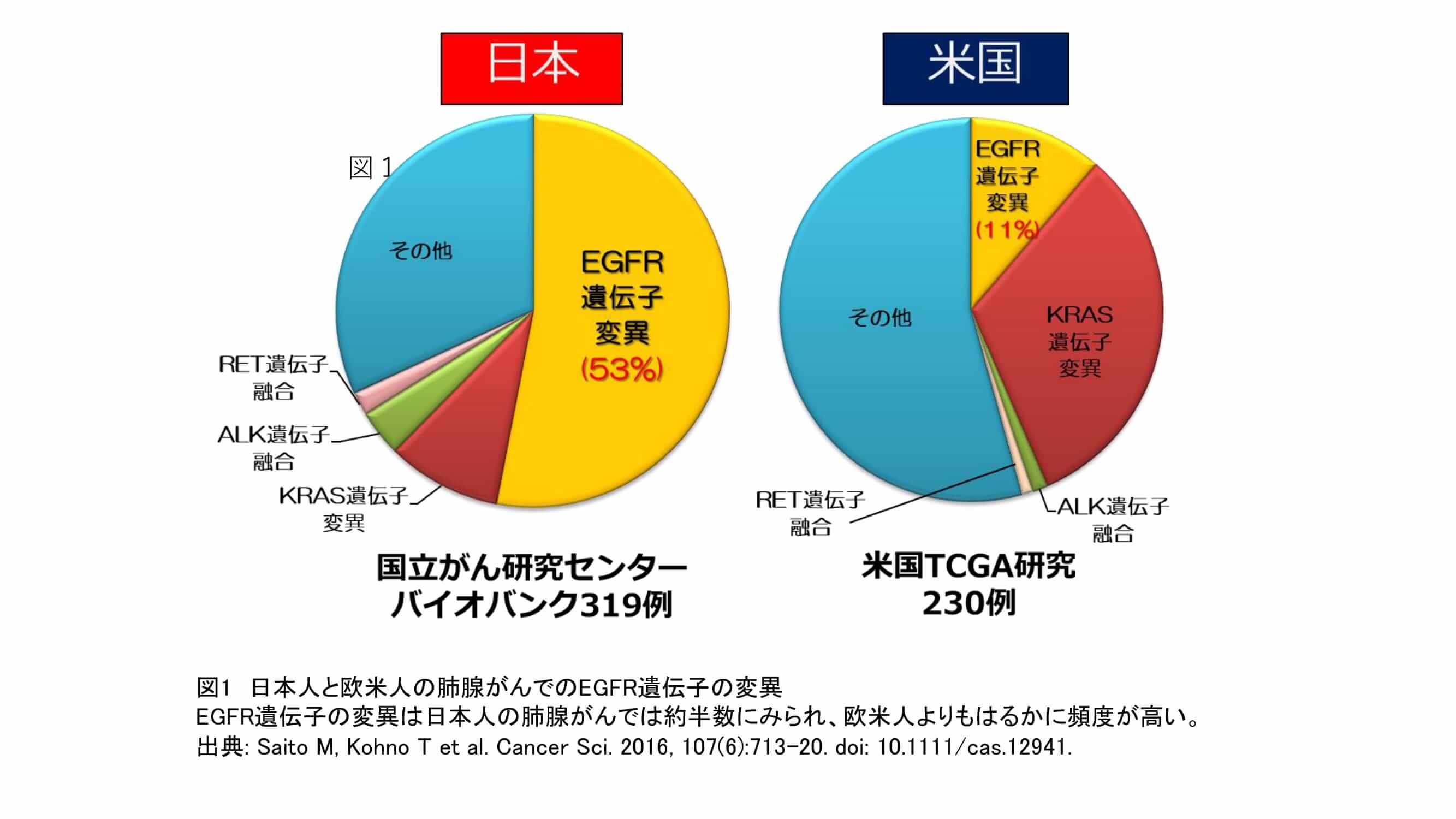 器官病態学講座・後藤明輝教授、南谷佳弘学長（研究当時　医学系研究科胸部外科学講座教授）が著者となる研究論文が国際学術誌『Journal of Thoracic Oncology』に掲載されました。