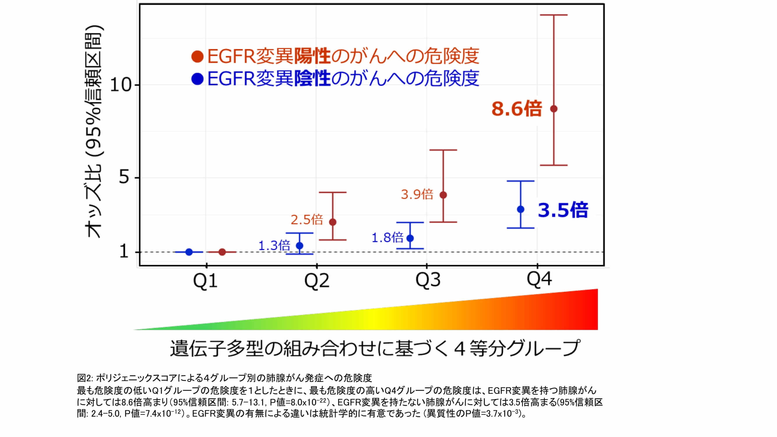 器官病態学講座・後藤明輝教授、南谷佳弘学長（研究当時　医学系研究科胸部外科学講座教授）が著者となる研究論文が国際学術誌『Journal of Thoracic Oncology』に掲載されました。